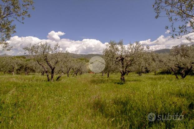 TER. AGRICOLO A MORICONE