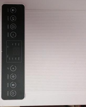 condizionatore portatile elettrico