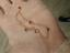 Immagine 6