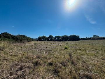 Terreno Edificabile Vicino Al Mare