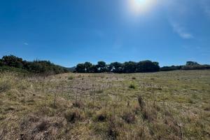 Terreno Edificabile Vicino Al Mare
