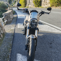 Benelli leoncino 800 trail