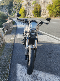 Benelli leoncino 800 trail