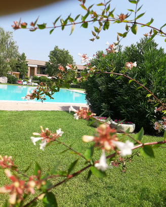 Appartamento al lago