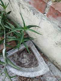 Lavello da giardino in marmo vintage.