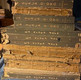 libri la collana d'oro