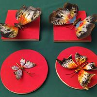 FARFALLE DECORATIVE FERRO BATTUTO DIPINTE A MANO