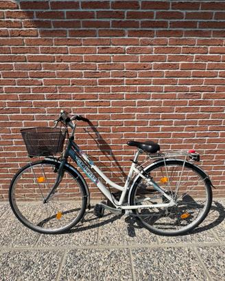 Bicicletta da donna Carnielli CX-75