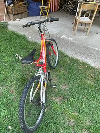Mountain bike Alpina ragazzo