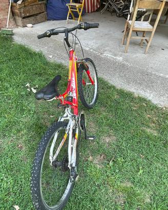 Mountain bike Alpina ragazzo
