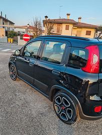Panda hibrid  del 2021