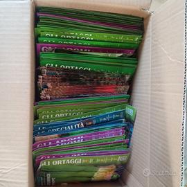 lotto semi ortaggi vari