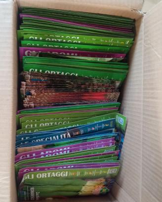 lotto semi ortaggi vari