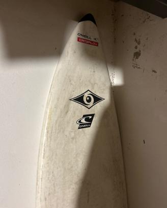 Tavola surf  bic 6.7
