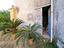 Immagine 19