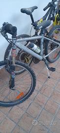 2 bici 80 euro 