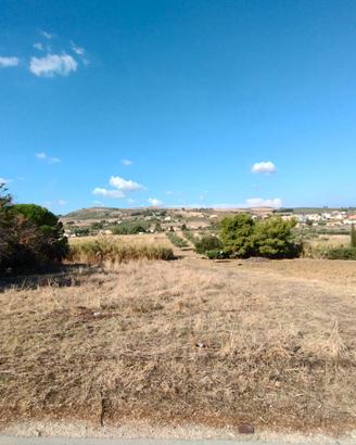 Terreno edificabile e agricolo Buseto Palizzolo
