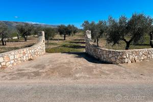 Terreno con Uliveti e Mandorleti