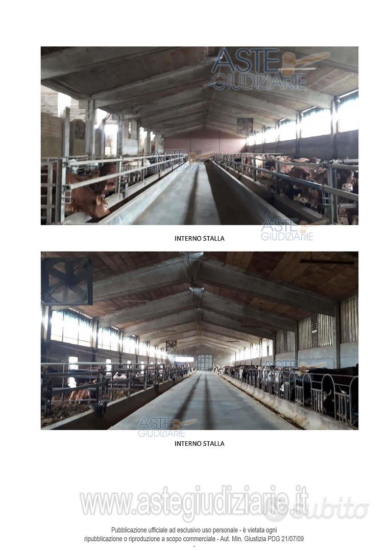 Azienda Agricola Brozolo [A4352331] - Vista 4