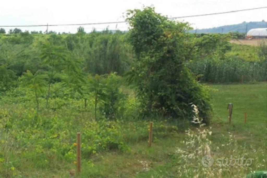 Immobile in asta di 1131 m² a Miglianico - Vista 3