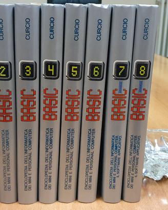 Enciclopedia dell'informatica  del Computer Curcio