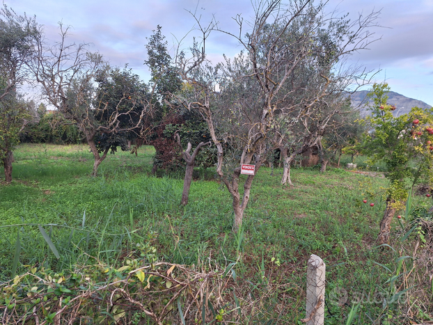 Terreno a terracina