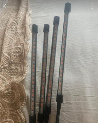lampade per coltura interna