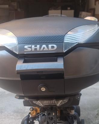 Bauletto  Shad 48 lt + piastra  per yamaha tracer 