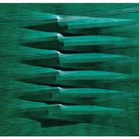 BONALUMI Agostino, 60 x 73, pubblicato!