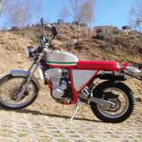 Special Scrambler su base Gilera RC 600 C