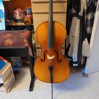 Violoncello 3/4 studio