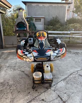 Minikart CRG 60cc Iame
