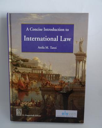 A concise introduction to institutional Law