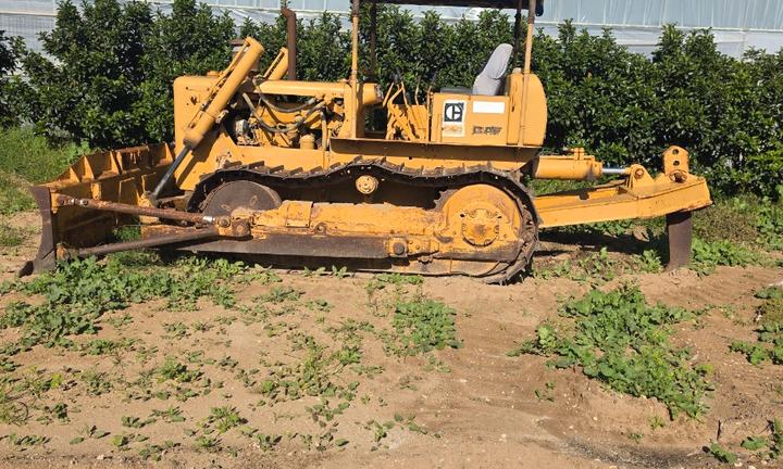 Apripista - Caterpillar - D4