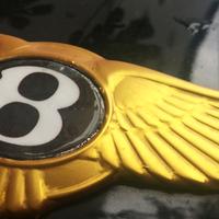 Logo Bentley Continental GT color oro 10/11 piume!