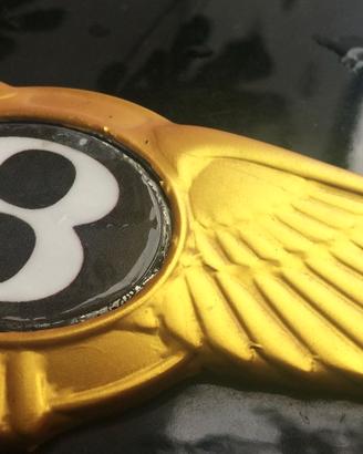 Logo Bentley Continental GT color oro 10/11 piume!