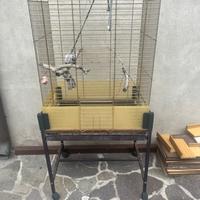 Gabbia per uccelli