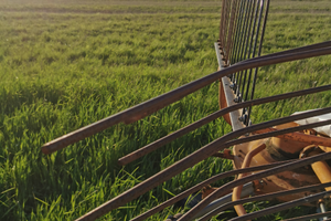 Ranghinatore Andanatore Repossi