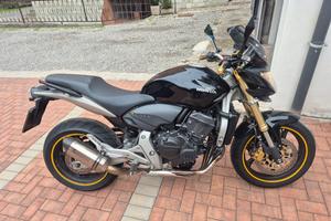 hornet 600 2008