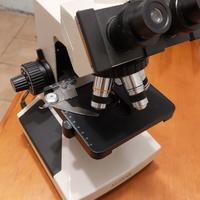 Microscopio binoculare ALSTAR XSP-15B