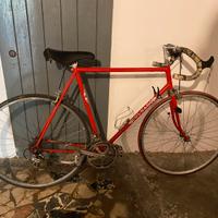 Bici d’epoca colnago