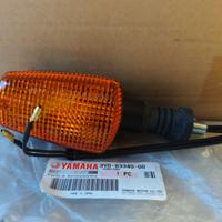 FRECCIA INDICATORE DIREZIONE POSTERIORE DX ORIGINA