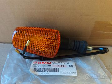 FRECCIA INDICATORE DIREZIONE POSTERIORE DX ORIGINA