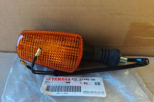 FRECCIA INDICATORE DIREZIONE POSTERIORE DX ORIGINA