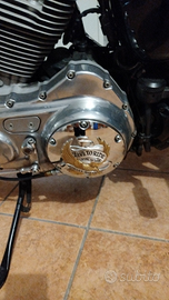 Sportster 883XL iniezione, comandi avanzati