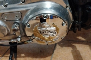 Sportster 883XL iniezione, comandi avanzati