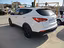 Immagine 14