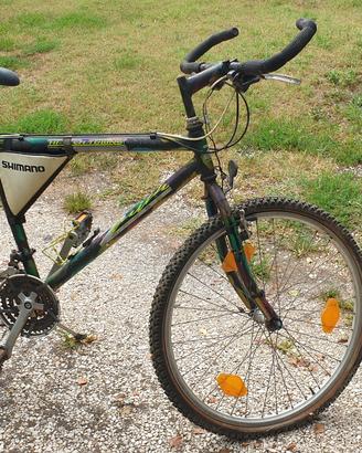 mountain bike