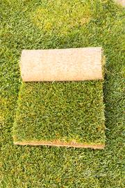 Prato Pronto rotoli  Puglia| Basilicata | Calabria