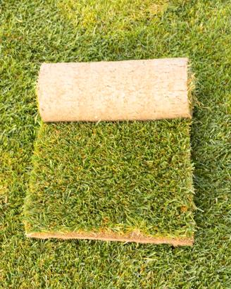 Prato Pronto rotoli  Puglia| Basilicata | Calabria